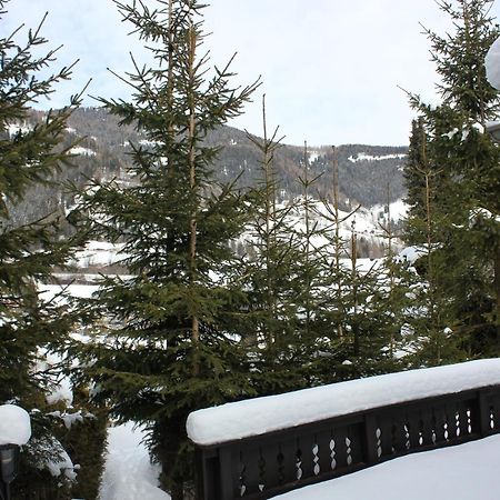 Chalet Heidi Bkk Bad Kleinkirchheim Zewnętrze zdjęcie